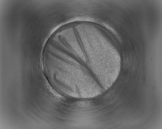 X0000062131272200512301452