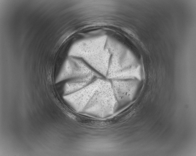 X0000062131273200512301452