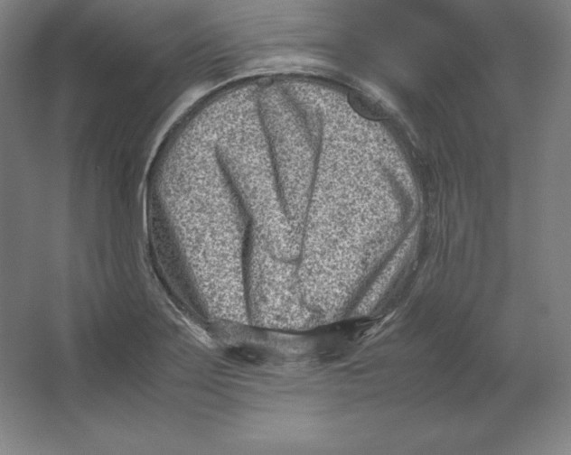 X0000062131275200512301452