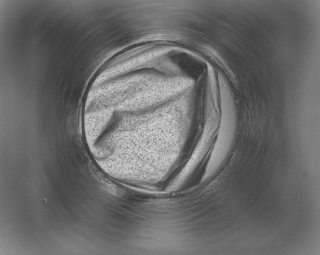 X0000062131276200512301452