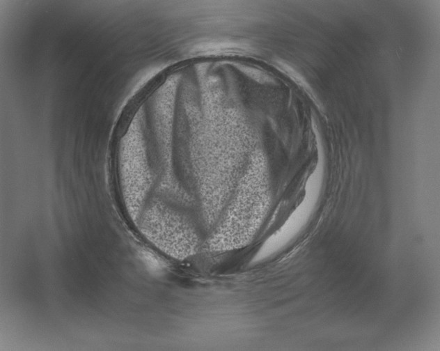 X0000062131277200512301452