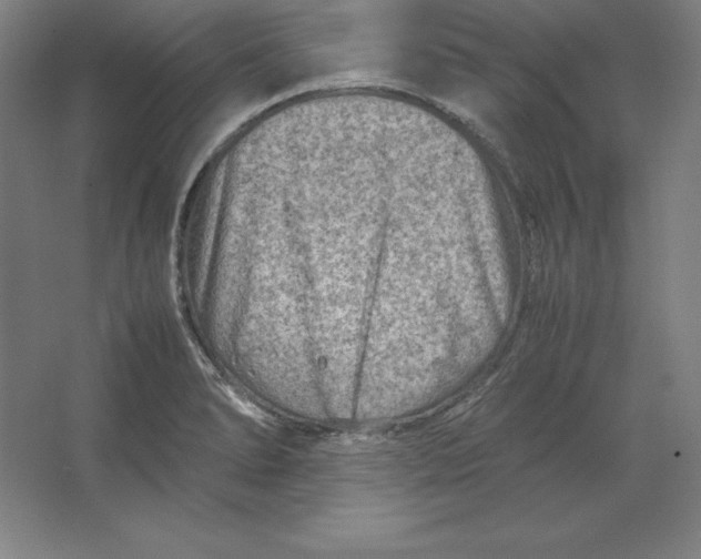 X0000062131278200512301452