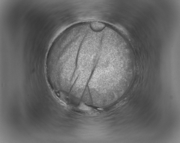 X0000062131279200512301452