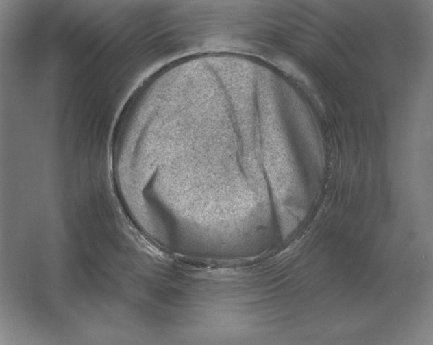 X0000062131280200512301452