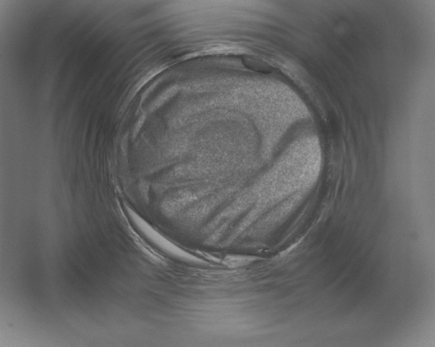 X0000062131281200512301452