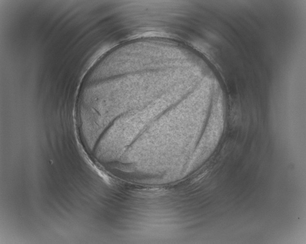 X0000062131282200512301452