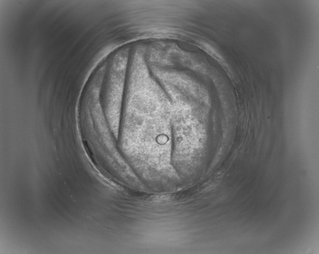 X0000062131283200512301452