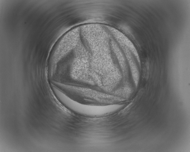 X0000062131284200512301452