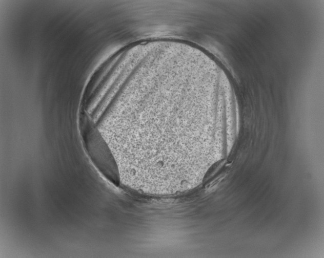 X0000062131285200512301452