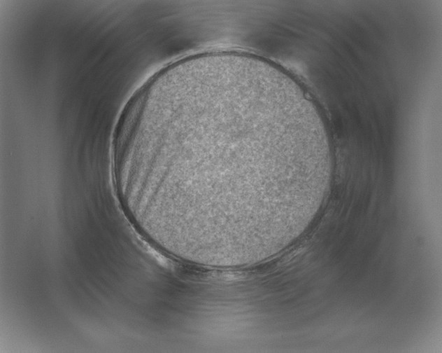 X0000062131286200512301452