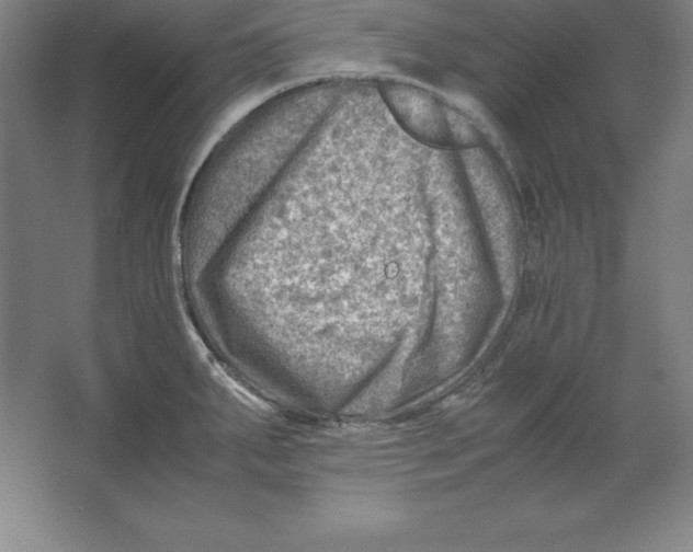 X0000062131287200512301452