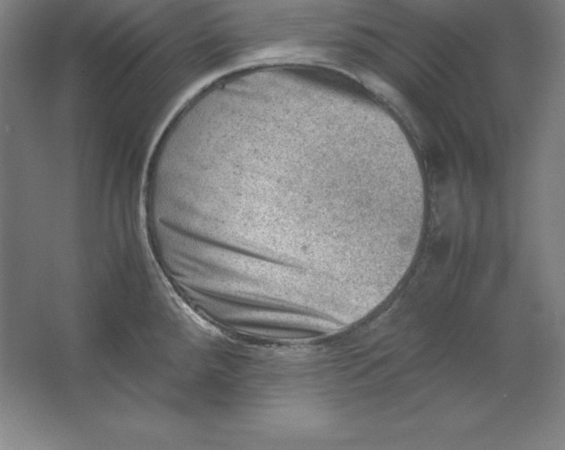 X0000062131288200512301452