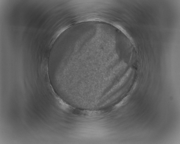 X0000062131289200512301452