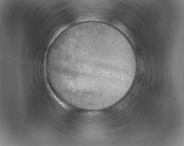 X0000062131290200512301452