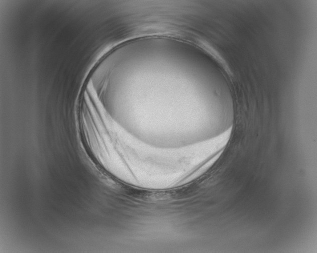 X0000062131291200512301452