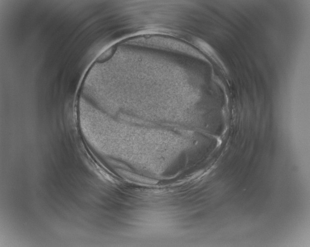 X0000062131292200512301452