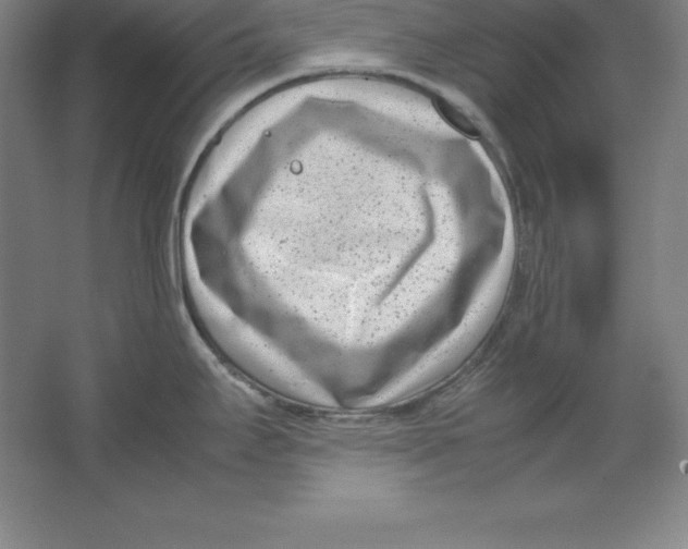 X0000062131295200512301451