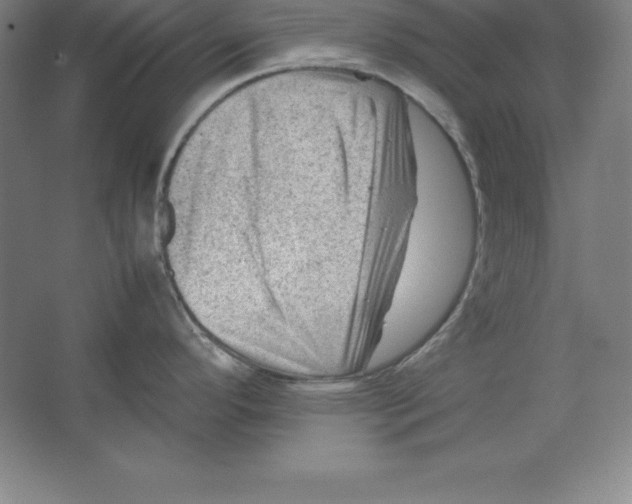 X0000062131296200512301451