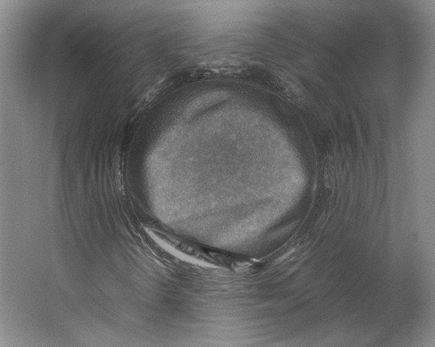 X0000062131298200512301451