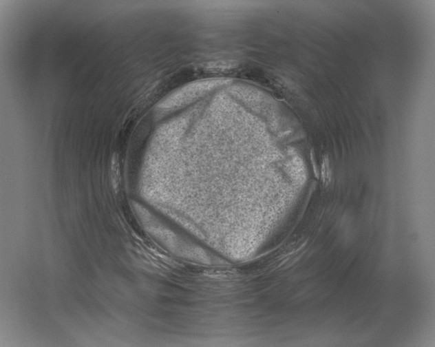 X0000062131299200512301451