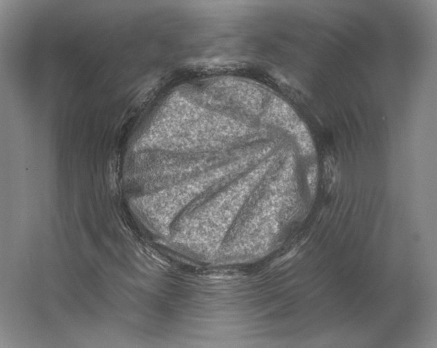 X0000062131300200512301451