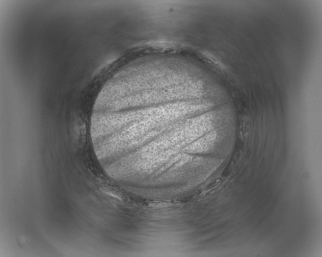 X0000062131302200512301451