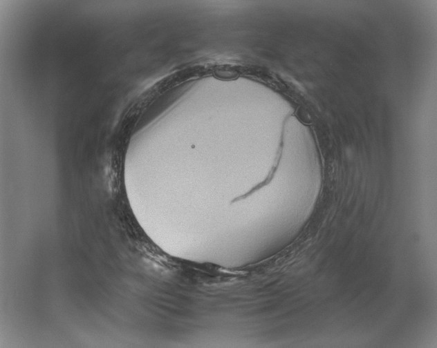 X0000062131303200512301451