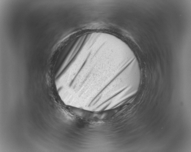 X0000062131304200512301451