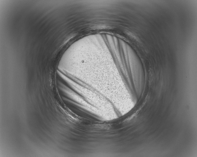 X0000062131305200512301451