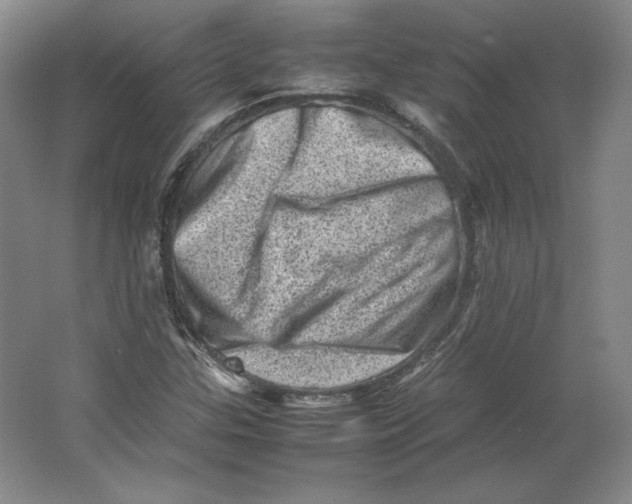 X0000062131307200512301451