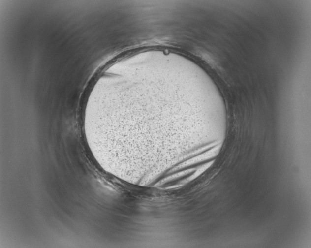 X0000062131308200512301451