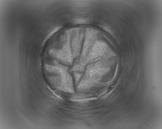 X0000062131309200512301451