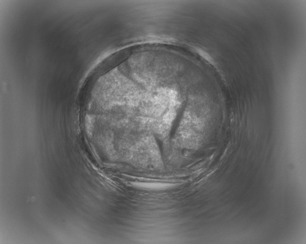 X0000062131310200512301451