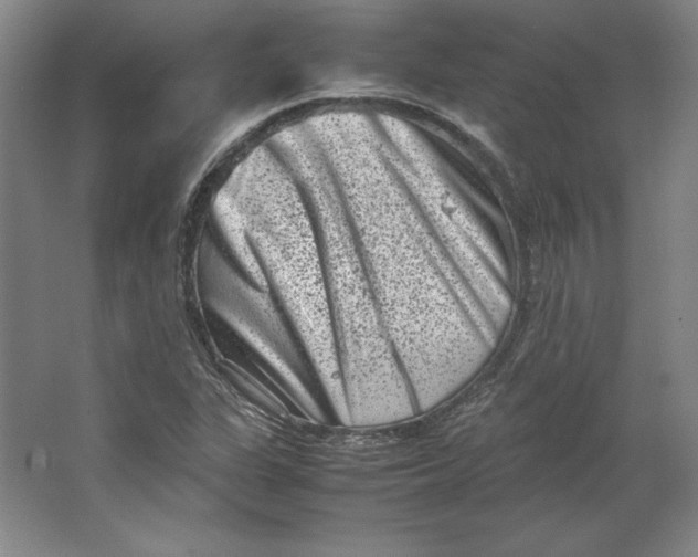 X0000062131311200512301451