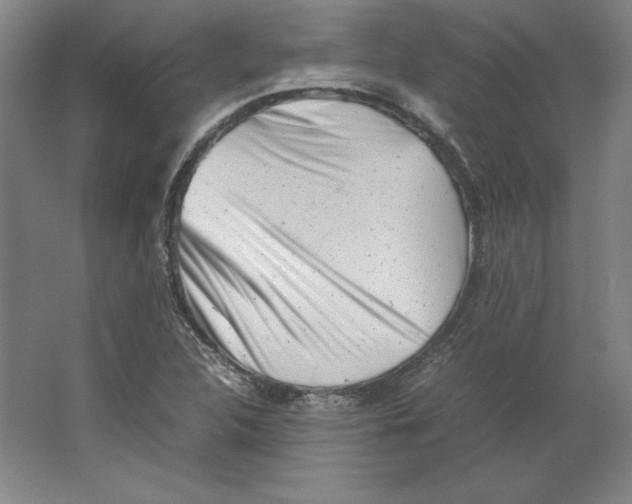 X0000062131312200512301451