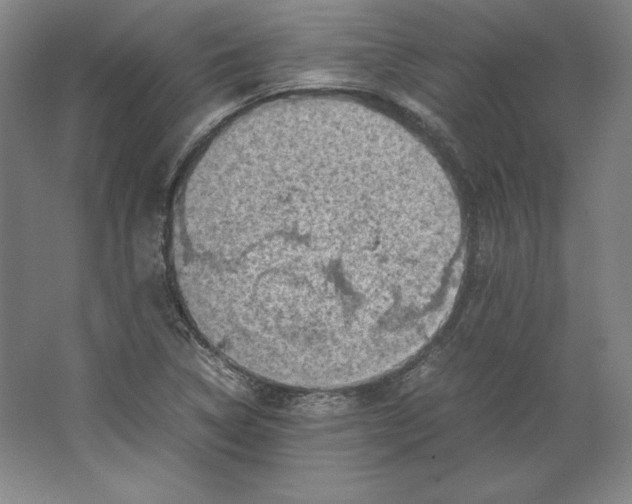 X0000062131314200512301451