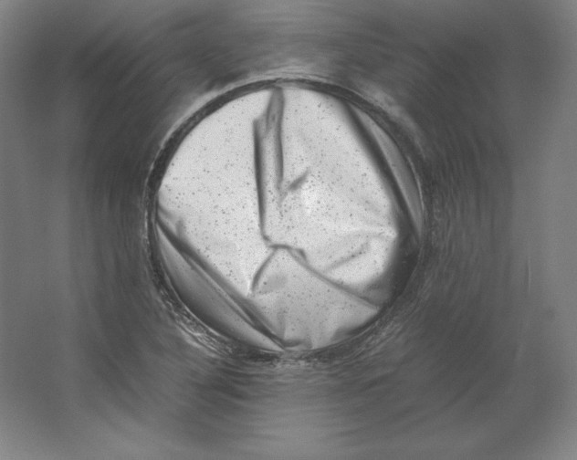 X0000062131316200512301451