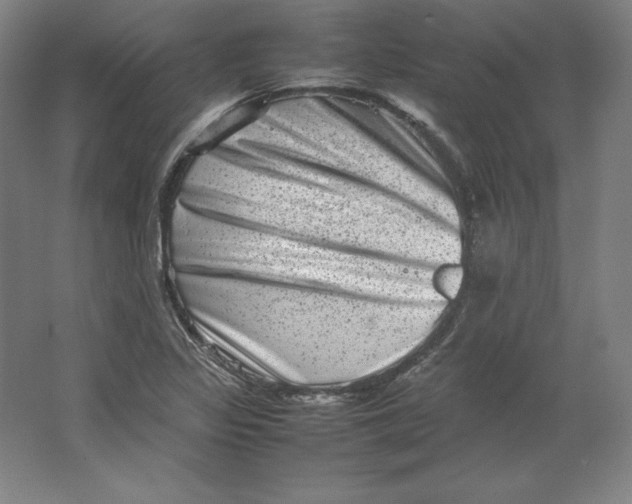 X0000062131317200512301451