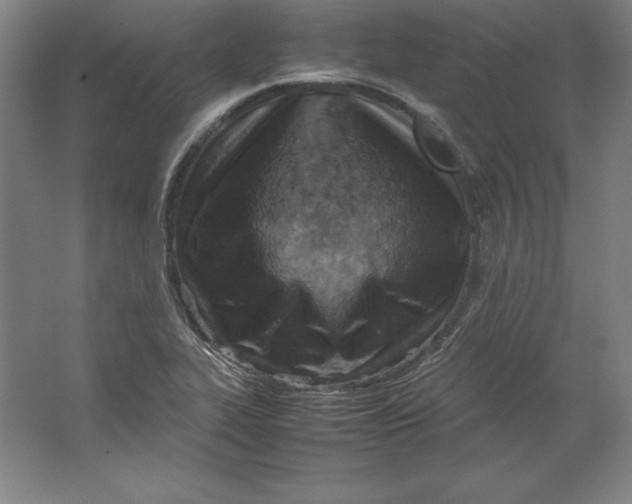 X0000062131319200512301451