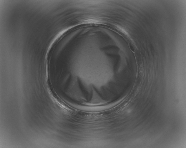 X0000062131323200512301451