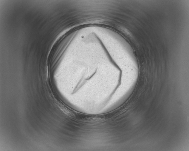 X0000062131324200512301451