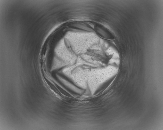 X0000062131325200512301451