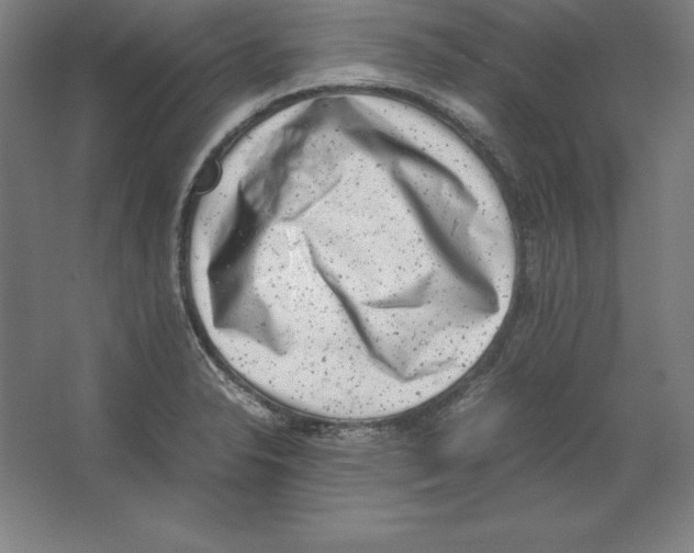 X0000062131326200512301451