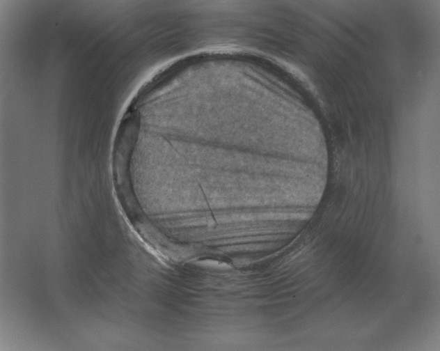 X0000062131327200512301451