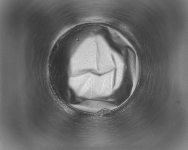 X0000062131328200512301451