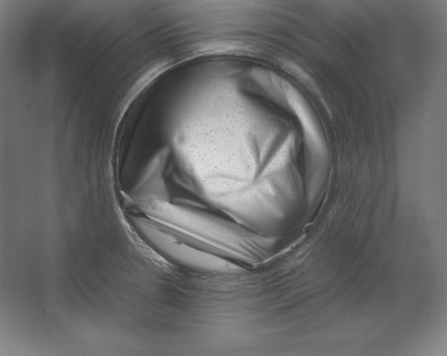 X0000062131330200512301451