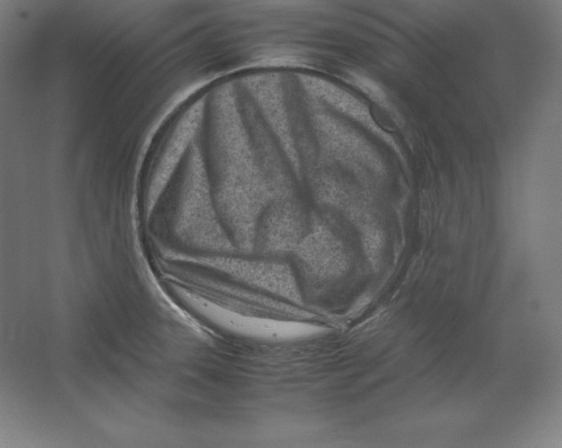 X0000062131331200512301451