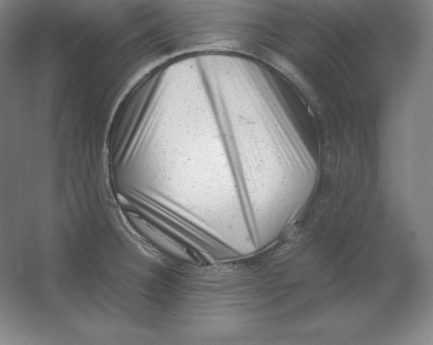 X0000062131332200512301451