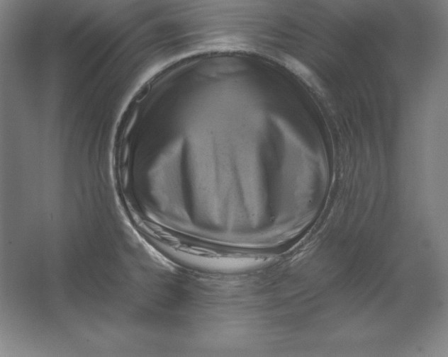 X0000062131334200512301451