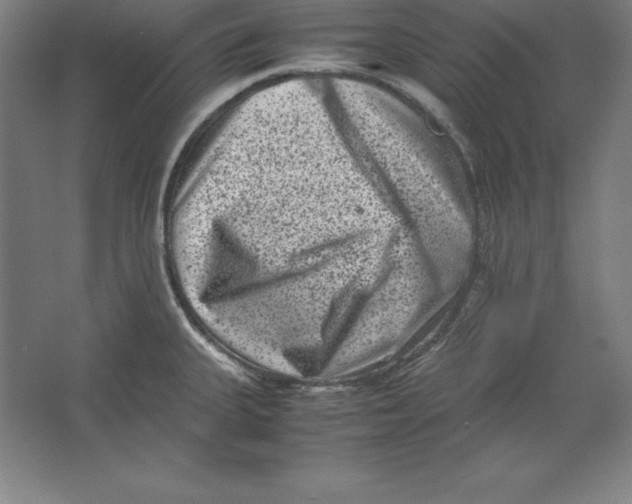 X0000062131335200512301451